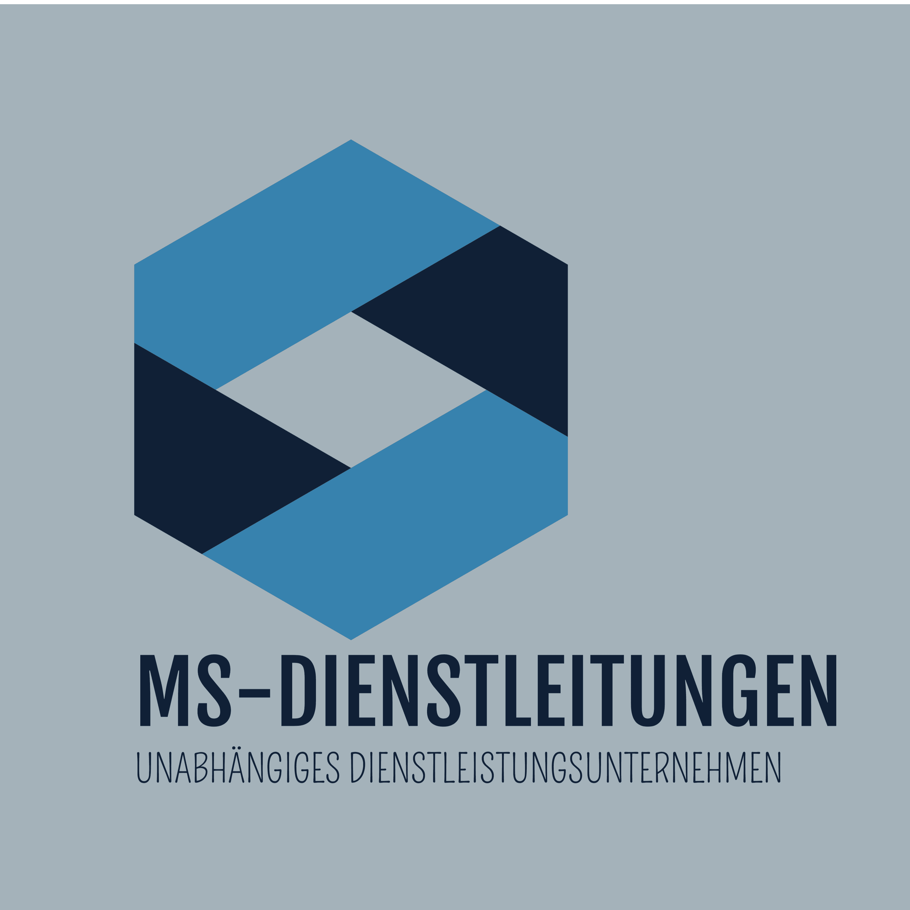 MS-Dienstleistungen